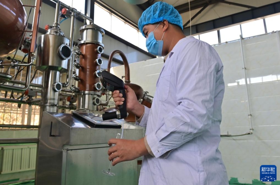 南果梨の加工産業が農村振興をバックアップ　遼寧省海城市