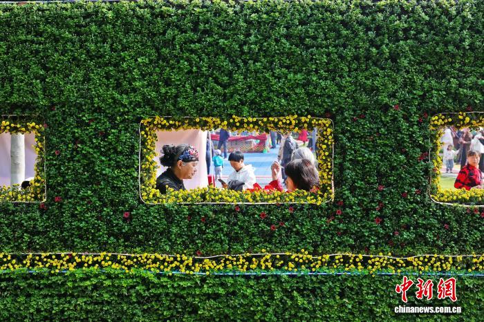 秋が深まる湖北省宜昌市で「菊花展」