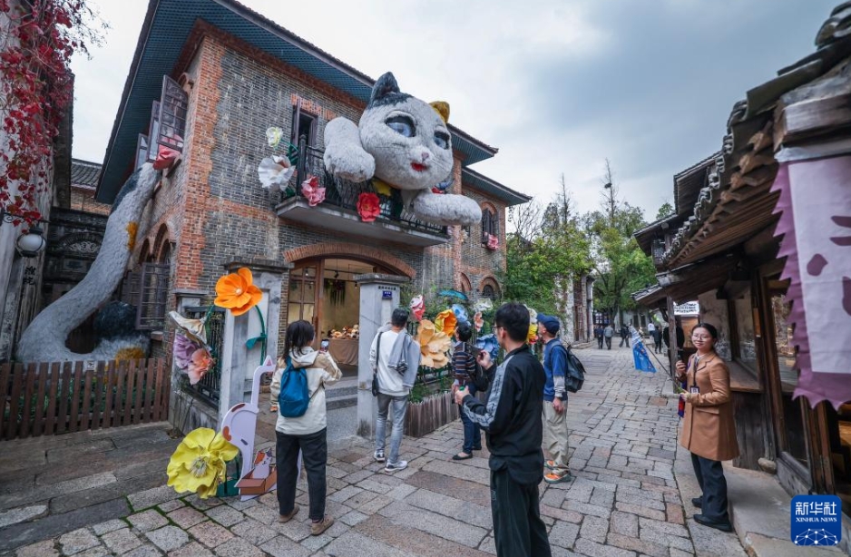 古鎮で「インターネット生活カーニバル」が開幕　浙江省桐郷