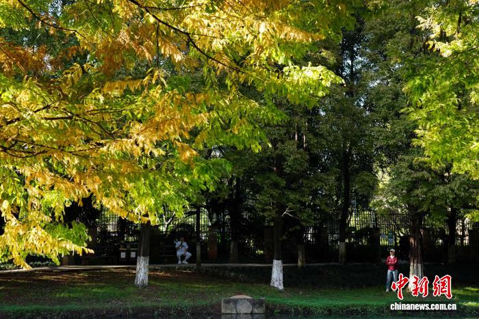 昆明の初冬の温もりを満喫する人々　雲南省