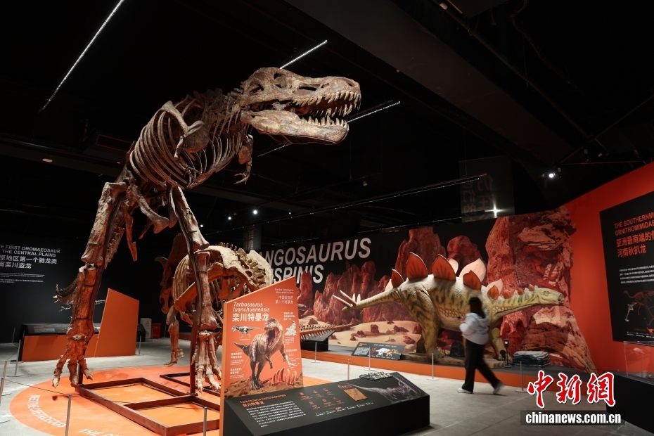 恐竜の化石特別展が開幕　北京