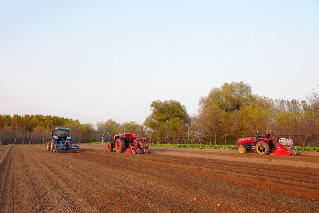 中国初の生産型ハクサイ無人農場が稼働開始　1台の収穫機が50人分の作業効率を実現