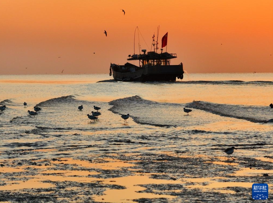 「冬のビューティーモード」中国各地に広がる初冬の絶景