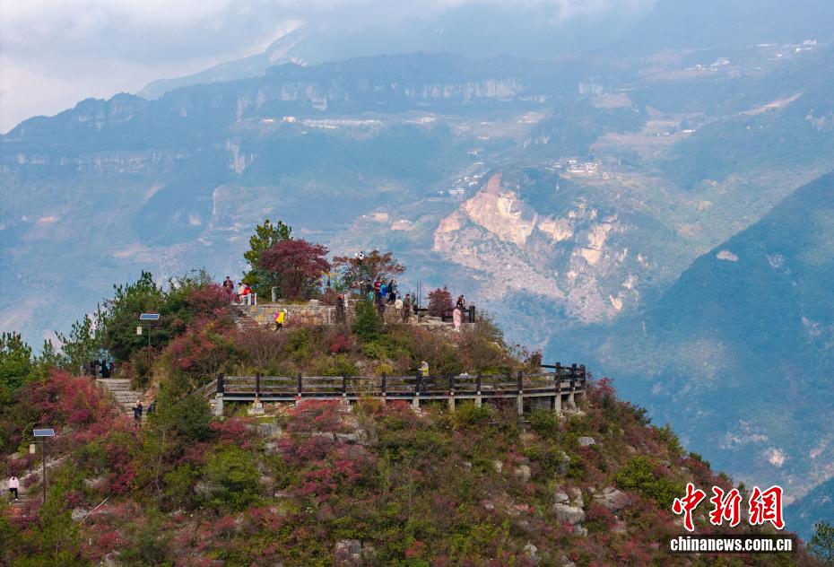 長江巫峡の両岸を彩る鮮やかな紅葉　重慶市巫山