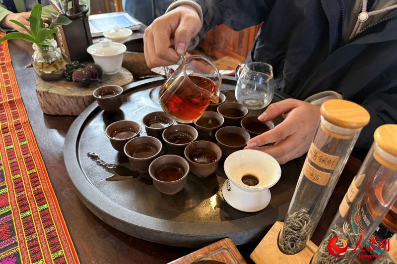 海南省白沙の有機栽培茶園の茶文化が外国人専門家を魅了