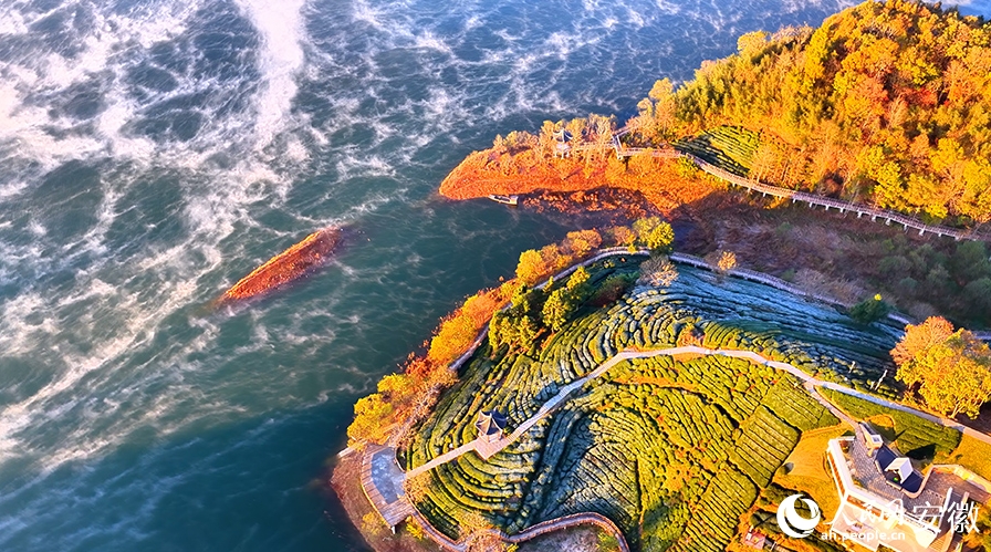 朝霧が織りなす絶景広がる西茶谷 安徽省金寨