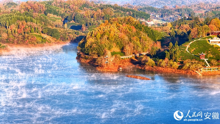 朝霧が織りなす絶景広がる西茶谷　安徽省金寨