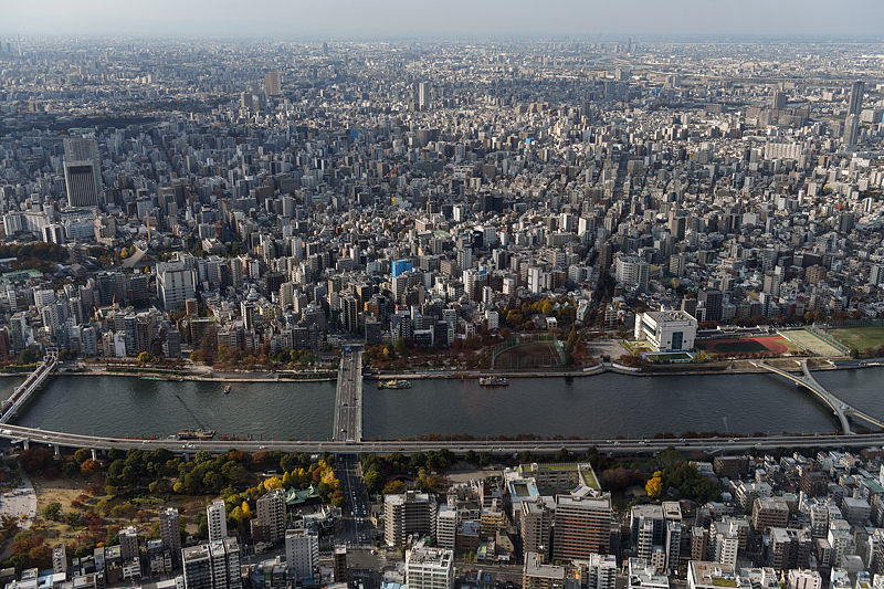 (画像著作権はCFP視覚中国所有のため転載禁止)