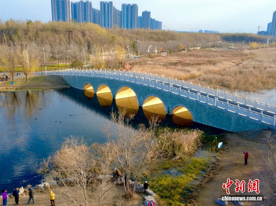 冬の鄭州に「光のトンネル」の景観現る　河南省