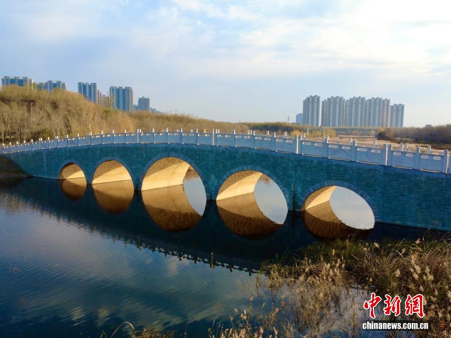 冬の鄭州に「光のトンネル」の景観現る　河南省