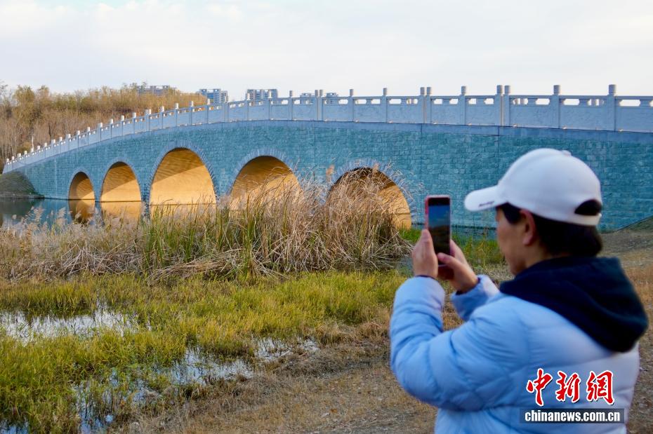 冬の鄭州に「光のトンネル」の景観現る　河南省