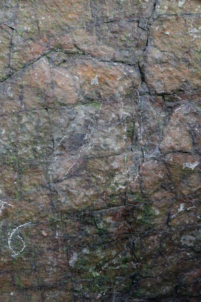 岩壁に残されたキロテリウム類の足跡。（画像提供：取材先）