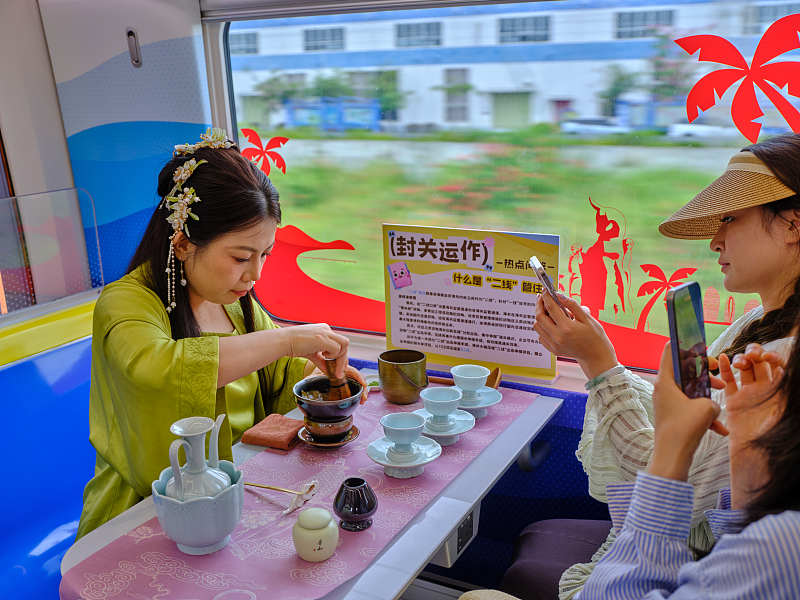 テーマ列車に乗って特色ある三亜の絶景を楽しむ　海南省