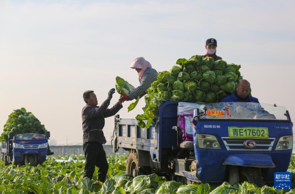 中国各地の冬の農作業風景