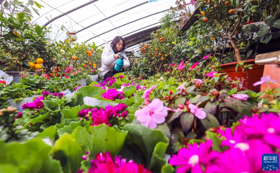 中国各地の冬の農作業風景