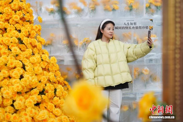 「氷漬けのバラ」の景観が期間限定で今年も登場　黒竜江省哈爾浜