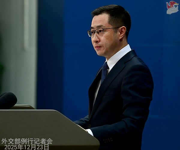 外交部「海南自由貿易港は中国の高水準の対外開放における重要な玄関口」