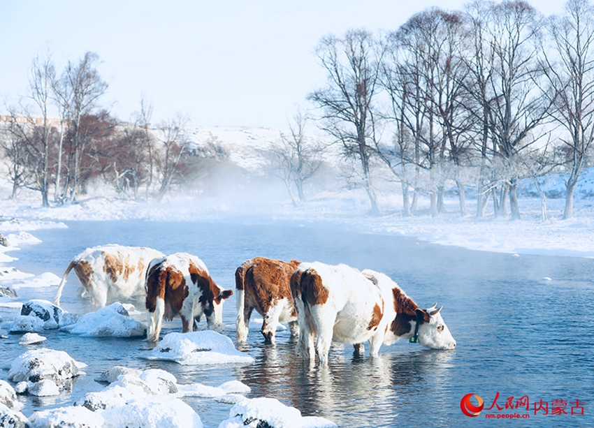 冬でも凍らない川　内蒙古阿爾山