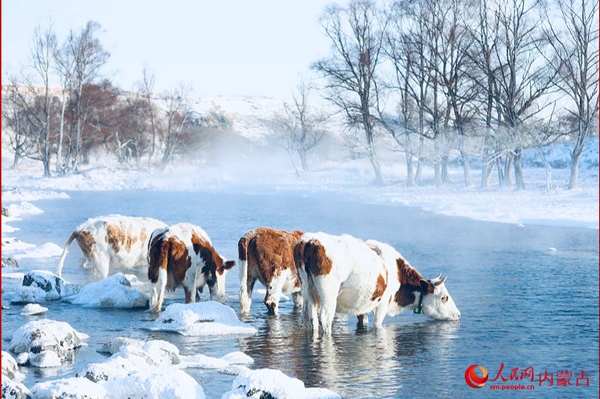 冬でも凍らない川　内蒙古阿爾山