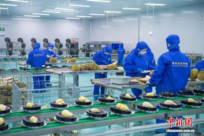 インドネシアから中国への輸出第1号となる冷凍ドリアンが広西に到着