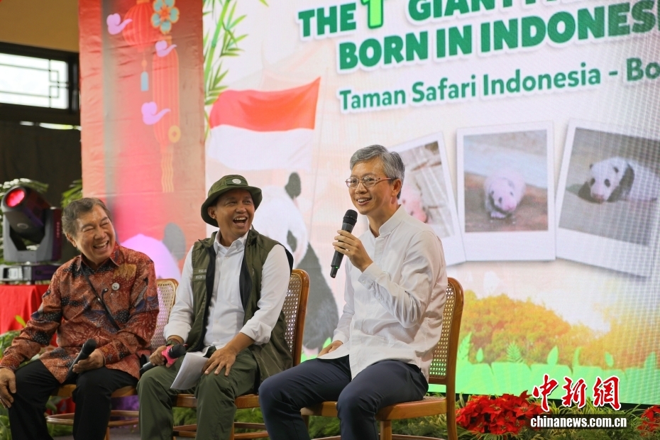 インドネシアで初めてのパンダの赤ちゃん誕生