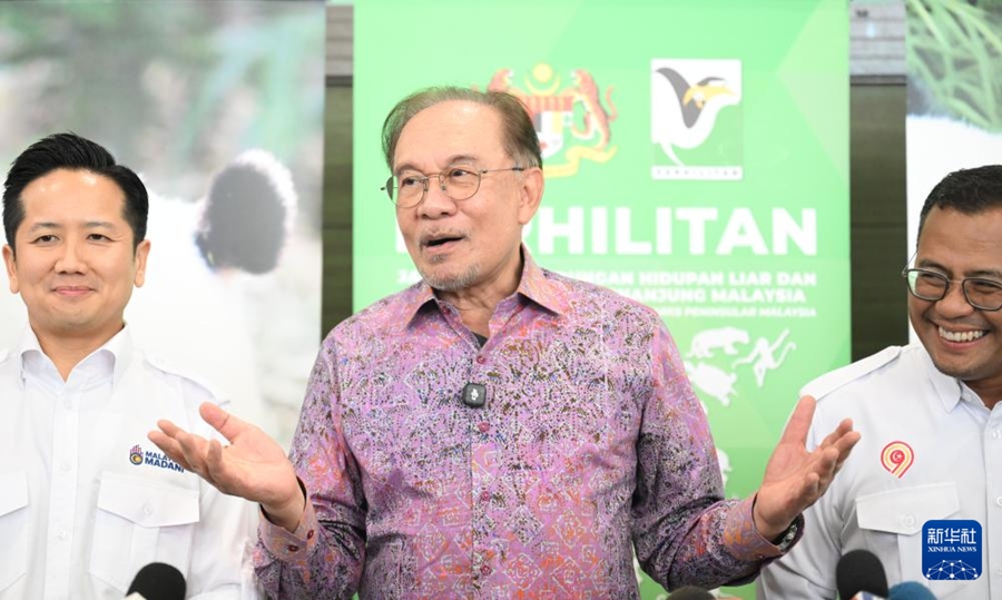 マレーシアでパンダの「辰星」と「暁月」の一般公開スタート