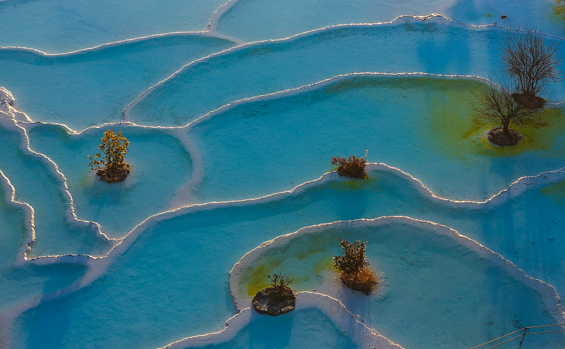 日の出とともに金色に染まる白水台「仙人遺田」　雲南省迪慶州