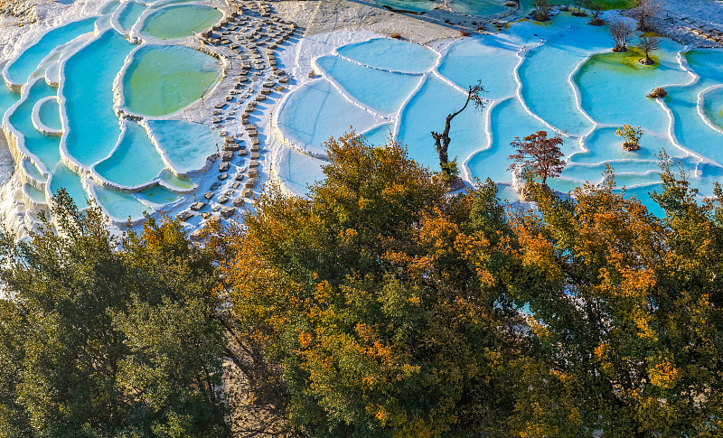 日の出とともに金色に染まる白水台「仙人遺田」　雲南省迪慶州