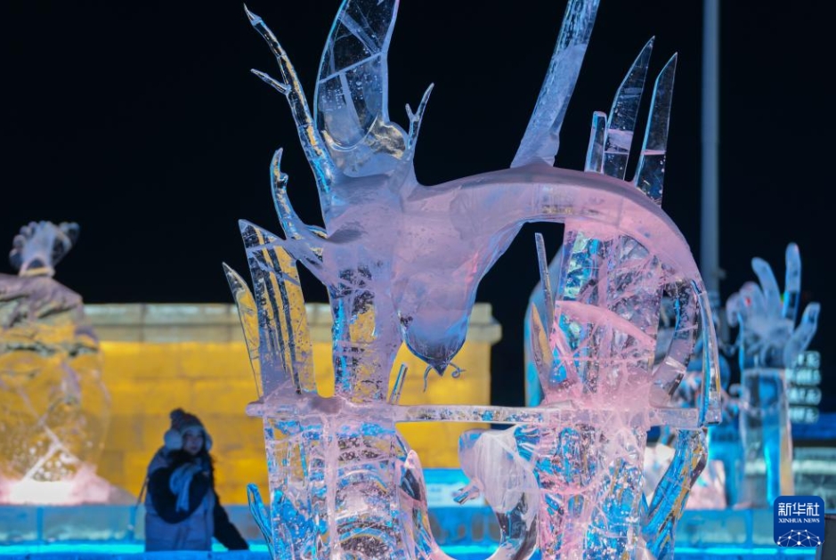 哈爾浜氷雪大世界を彩る美しい氷像　黒竜江省
