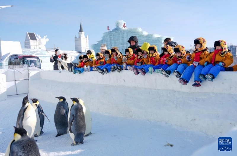 広西の幼稚園児たちが東北エリアで氷と雪を満喫