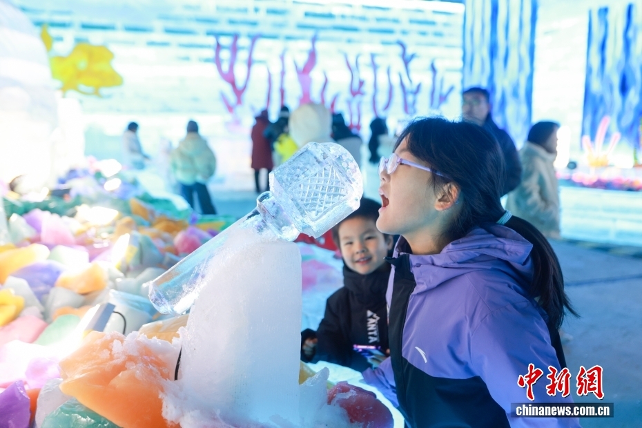 竜慶峡氷灯芸術フェスティバルが開幕　北京