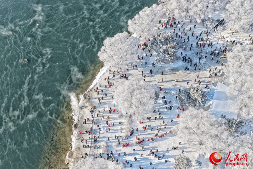 息をのむような美しい霧氷広がる吉林省吉林市