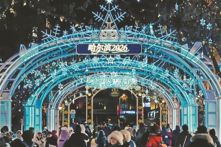 哈爾浜の歩行者天国を飾る大学院生がデザイン・制作したイルミネーション