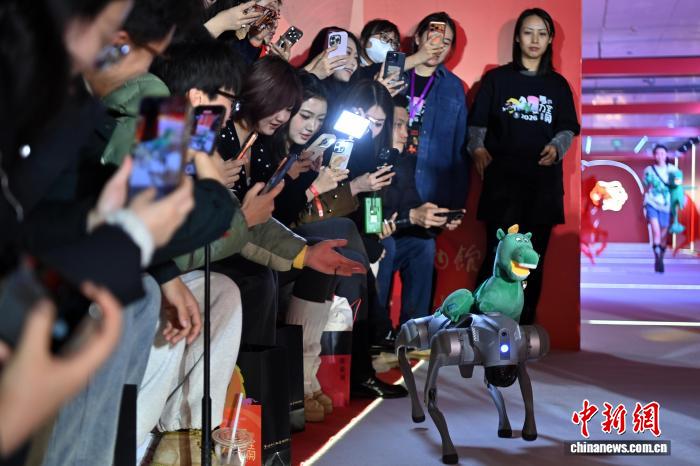 甘粛省博物館で干支の馬をテーマにしたユニークなナイトイベント