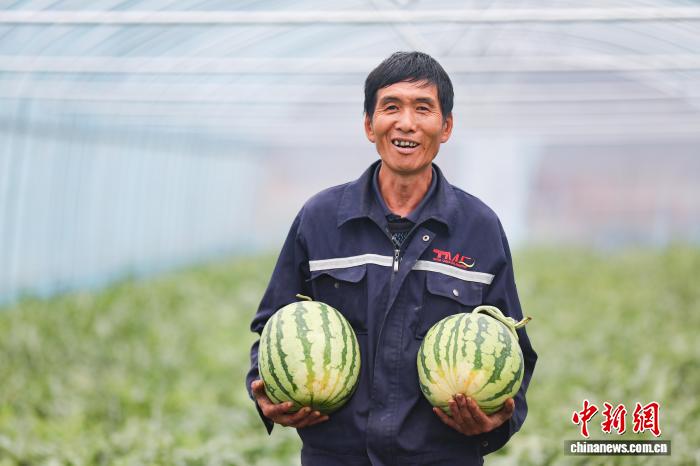 「オフシーズンスイカ」で春節市場狙う　広西・賀州