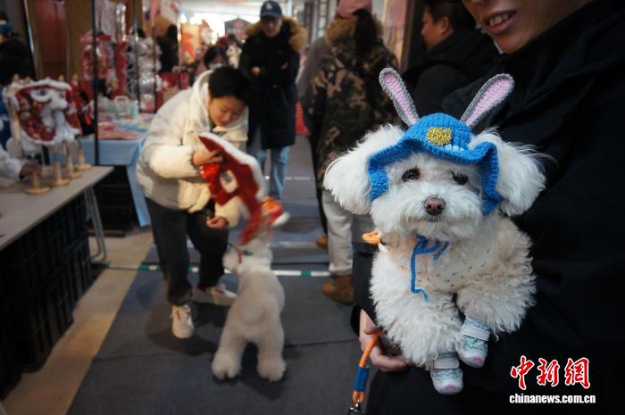 天津で年越しペット用品フェスティバル