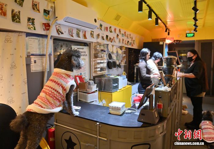 予約殺到！列車車両を利用したペットレストラン　吉林省長春