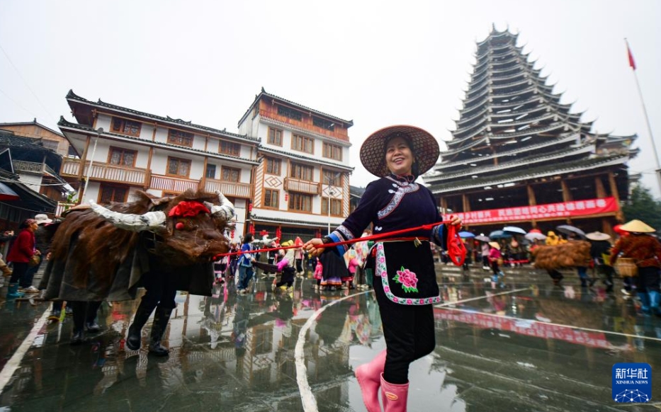 立春にあたる2月4日、広西壮(チワン)族自治区桂林市竜勝各族自治県平等鎮広南村の鼓楼前で、牛の人形をムチで叩いて砕き、天候に恵まれた1年や豊作を祈る「鬧春牛(春牛を賑やかに祝う)」を行う村民たち(撮影・潘志祥)。