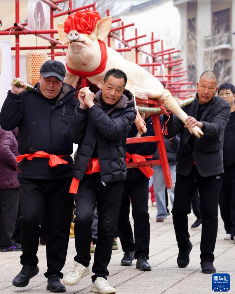 旧暦の12月24日にあたる2月11日、浙江省楽清市楽成街道(エリア)で開催された大きな豚を担ぐ豊作祈願の伝統行事「抬大猪」(撮影・蔡寛元)。