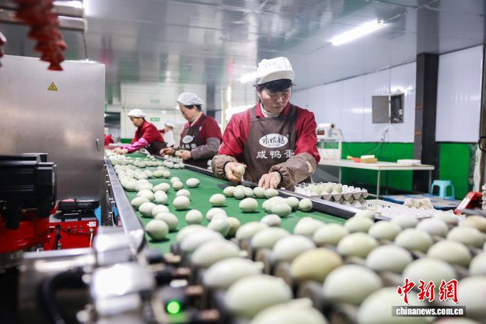 受注対応でフル稼働、「幸先良いスタート」に向けて全力発進　貴州省三穂