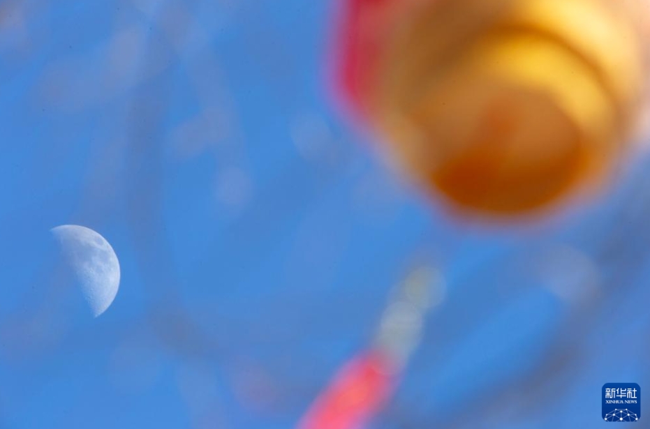 夜空に現れた今年最大の「上弦の月」