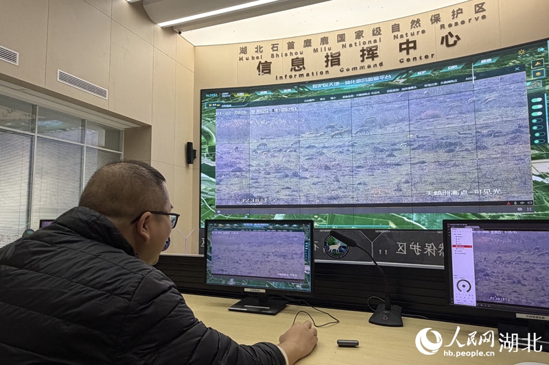 情報指揮センターで監視モニターを見る戈先美さん(撮影・張沛)。