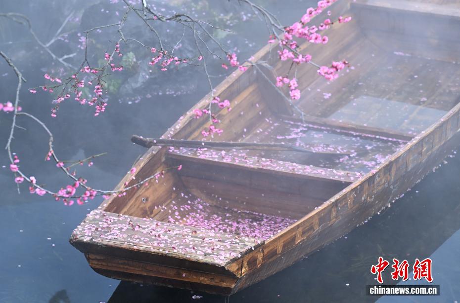 西湖の趣と春の訪れを感じられる観光スポットが人気に　浙江省杭州