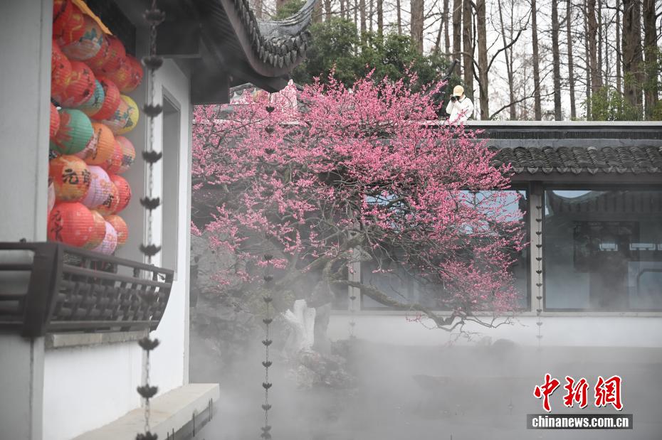 西湖の趣と春の訪れを感じられる観光スポットが人気に　浙江省杭州