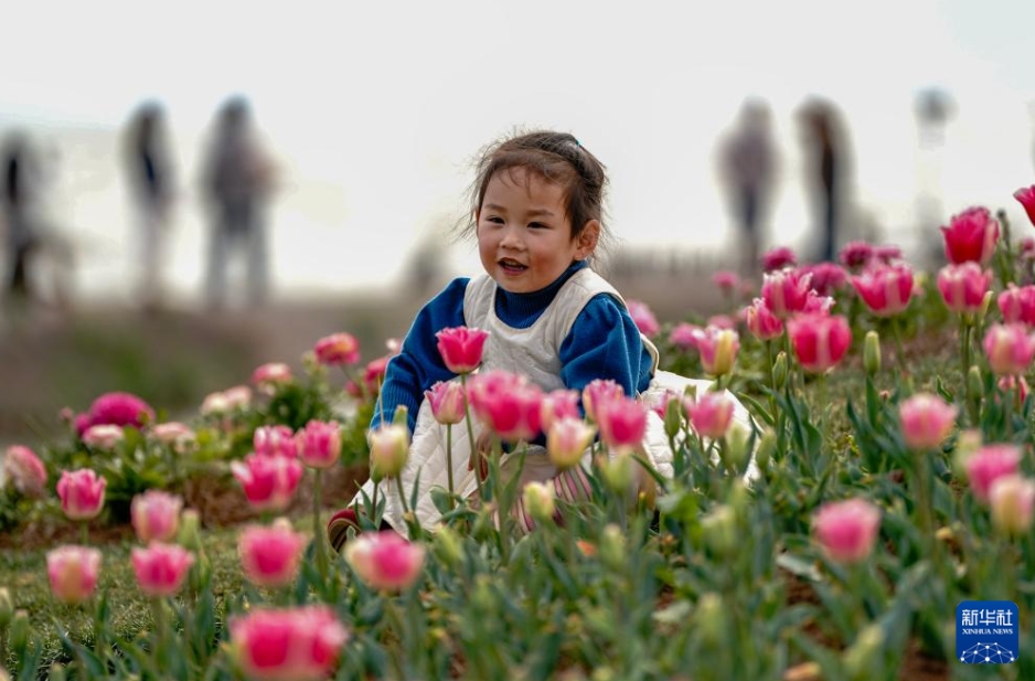 観光客を魅了する春の滇池　雲南省昆明