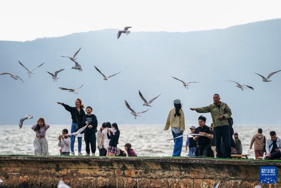 観光客を魅了する春の滇池　雲南省昆明