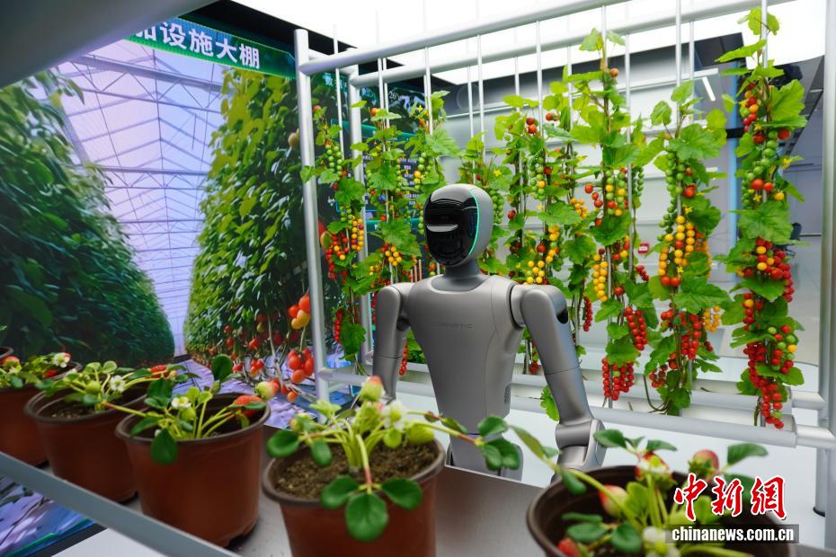 河南省初の人型ロボット「4S店」を訪ねて