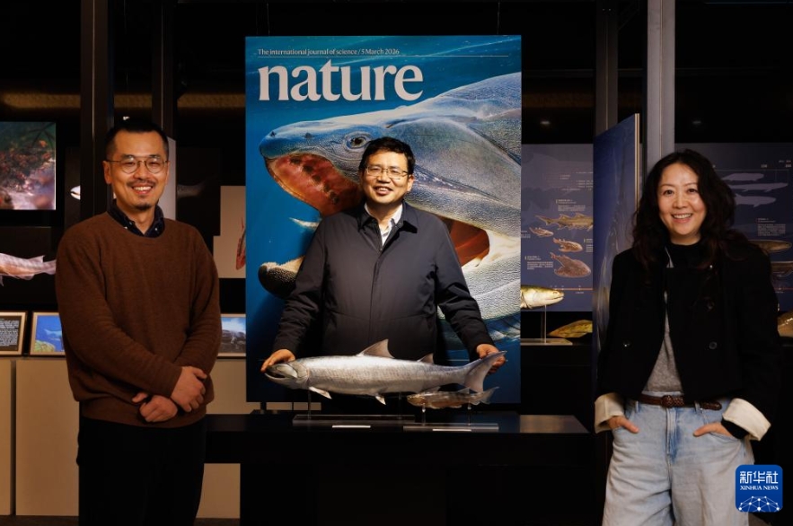 中国で初期の硬骨魚類の化石発見　「魚からヒトへ」の進化に新たな証拠