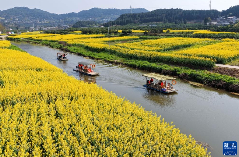 中国各地で花がほころび始め、春到来