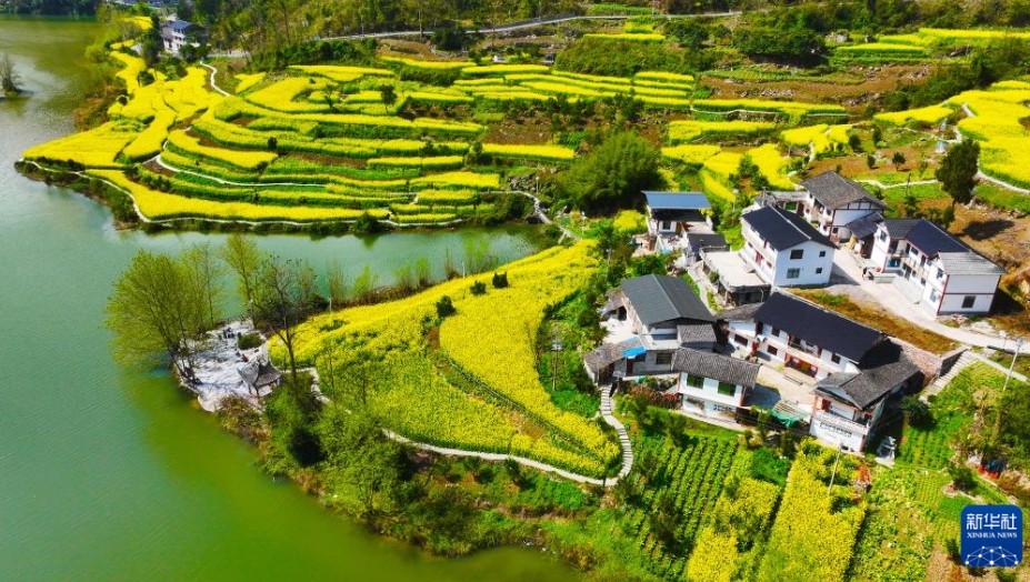 中国各地で花がほころび始め、春到来